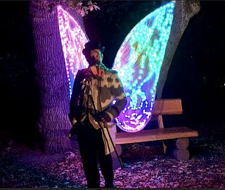 LED- Schmetterling