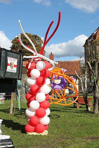 Flori 10