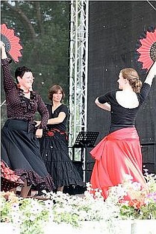 Flamenco 1