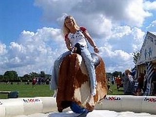 Bullriding (Kuh- Design)