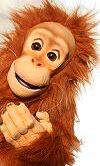 Puppe Affe